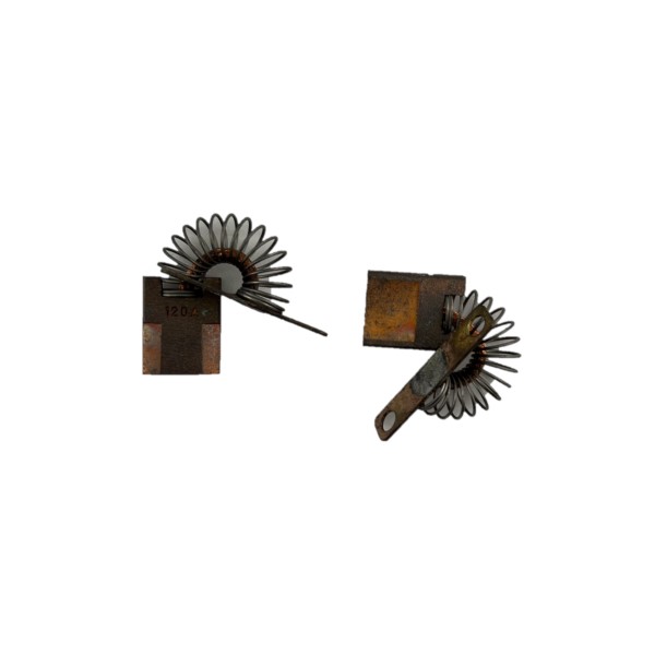 Tennant Carbon Brush Kit, Curve (2Pcs)