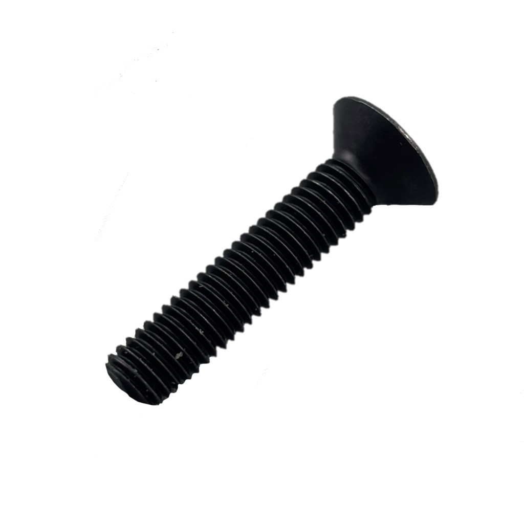 Screw CS M5 X 25mm