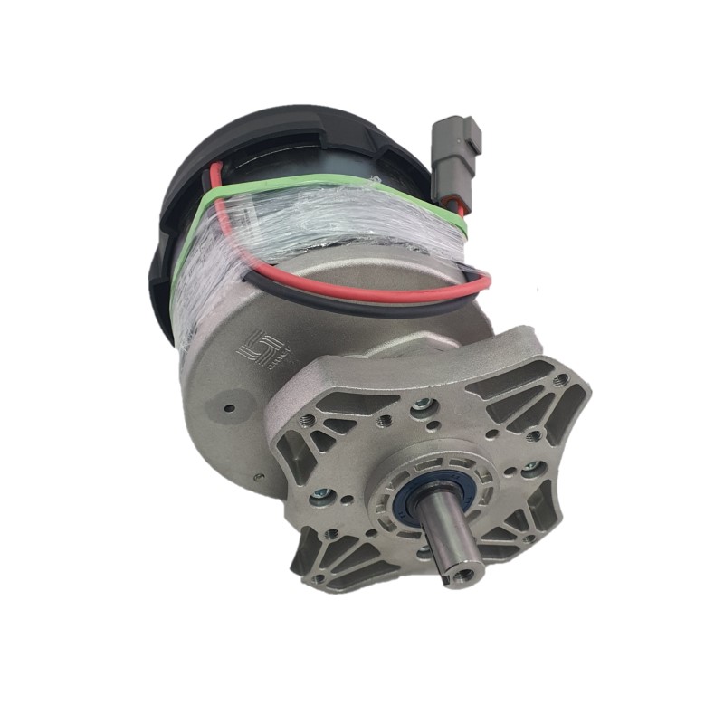 36V Motor