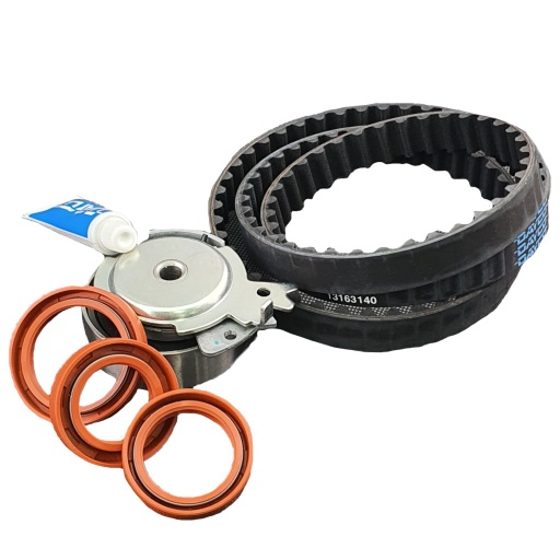 [1057029LP] Timing Belt Kit